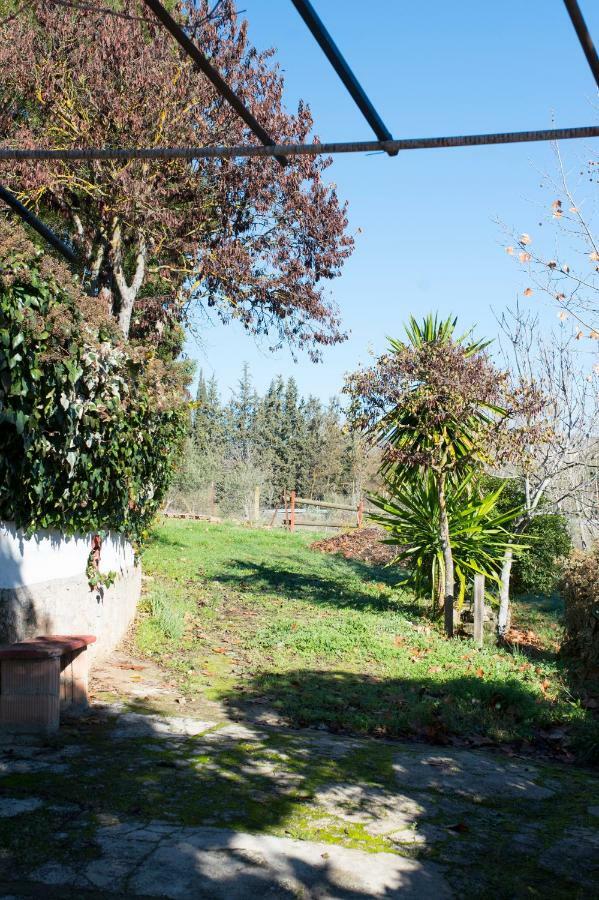 Apartamento Rural Cristi Ронда Экстерьер фото